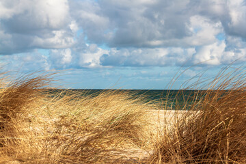 The beauty of the natural beaches on the Baltic Sea.