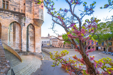 Obraz premium Ancient city of Avignon square an Pope palace view