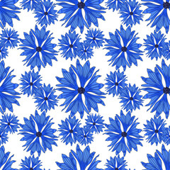 Blue cornflower on white background. Seamless pattern