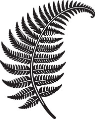 fern leaf isolated on black desain and white begraund