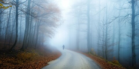 A solitary figure walks down a fog-covered forest road, surrounded by tall trees and an ambiance of mystery