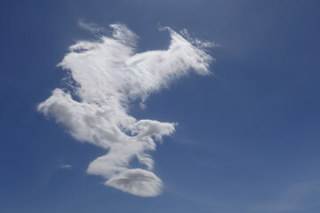 single white cloud and blue sky on windy day