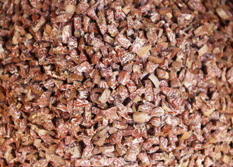 small piece Betel nut fresh betel palm close up view, Areca palm (Areca catechu Linn). Local Supari, Assam.