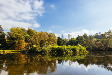 Fototapeta na wymiar Royal Botanic Gardens in Melbourne Australia