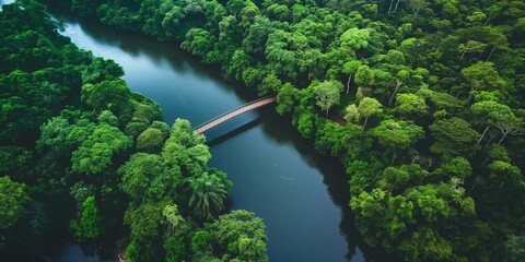 Fototapeta premium A serene aerial shot capturing a bridge crossing a winding river surrounded by a dense, green forest