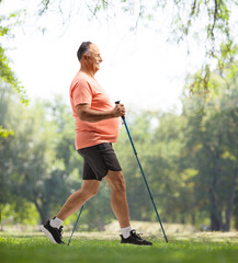 Full length profile shot of a mature man with walking poles
