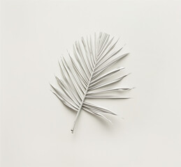 White palm leaf on a white background.Minimal creative nature concept.Flat lay