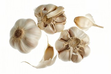 High angle view of whole and dissected garlic bulbs with loose cloves arranged on a white background
