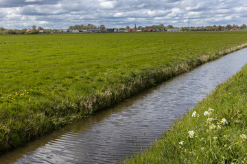 Ditch and meadows. View at Kollum. Village at Dutch countryside. Kollum Friesland Netherlands. Summer. 