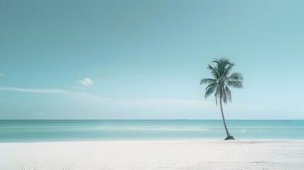 Tranquil Coconut Palm Against Serene Blue Ocean Horizon