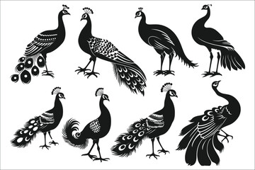 Set of Peacock silhouettes, Black silhouette of Peacock , Peacock silhouette set, Silhouettes of Peacock, Vector