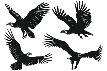 Obraz premium Set of condor silhouettes, Set of black silhouettes of condor flying, Black silhouette of a Condor, Silhouette of condor flying, Flying bird silhouettes, Vector