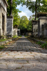 old cemetery in the city