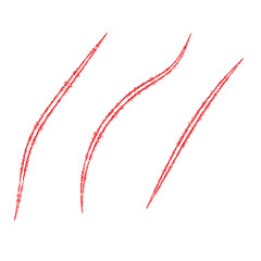 Bear paw claw marks, scratches of animal attack