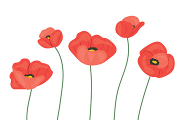Obraz premium red poppy flowers; great for Mother's Day greetings cards- vector illustration