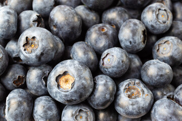 blueberries close up