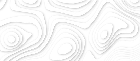 Abstract modern 3d Paper cut white background .white waves background ,paper art style, flyers posters prints .geometric background overlap layer.