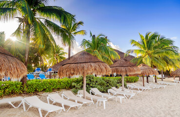 Tropical beach with palm tree, chairs and umbrella a sunny day