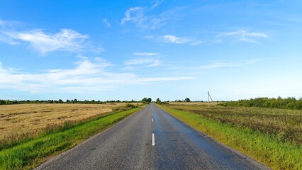 An asphalt road with markings lies among meadows and agricultural fields with ripening wheat. A...