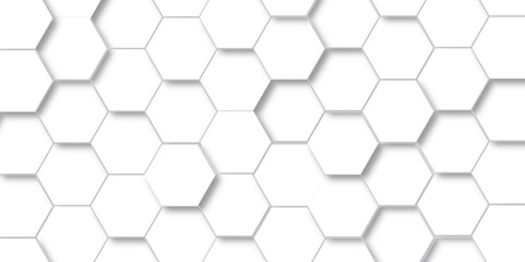Abstract background with hexagon, modern abstract vector polygonal pattern. Futuristic abstract honeycomb technology white background. Luxury white hexagon pattern.