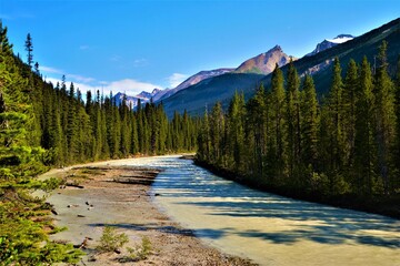 Fototapeta premium Yoho River with Trolltinder Mountain and Mt. Balfour (2912 m and 3272 m, part of the Waputik Range) in the background, located in the Canadian Rockies in British Columbia (Yoho National Park, Canada)