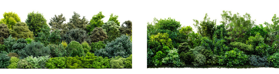 Obraz premium Realistic photo of hedge garden isolated isolated on transparent or white background
