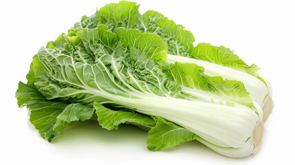 Chinese cabbage on a white background