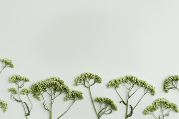 Minimal autumn composition with dried wild flowers on green background, nature autumnal decor,...