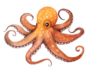 Cute watercolor octopus. Hand drawn illustration of a sea animal, transparent background