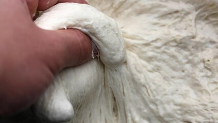 baker's hand shaping and stretching dough in a bowl (sourdough bread production shape, stretch, pull) wet sticky white flour for country style loaf, boule (biga)