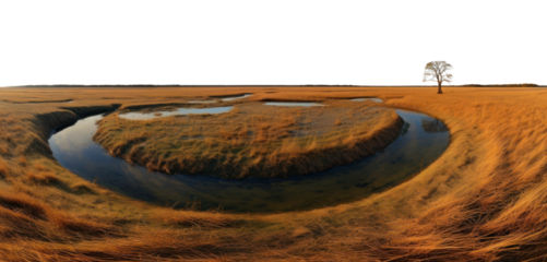 PNG Savannah field landscape outdoors savanna.