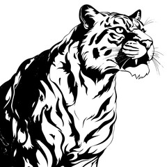 tiger illustration