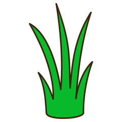 grass plant illustration
