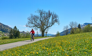 active senior woman riding her electric mountain bike on a sunny day in  spring with Dandelion...