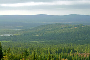 Finnish hills with endless coniferous forests in Lapland on summer evening