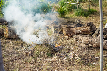grass burning on the field, after harvest, autumn time. Environmental pollution and emissions