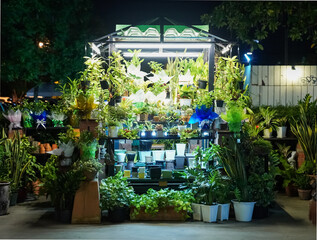 The little plant stall at the flea market in the nighttime of Bangkok, Thailand. The selling booth...