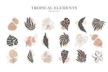 Collection with abstract hand drawn tropical plants icons in pastel colors isolated on white background. Set of various vector highlight covers for social media stories, logo or mark