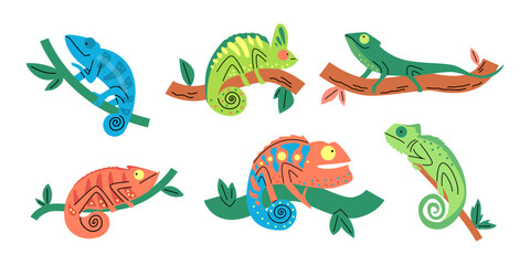 Colorful chameleon collection vector set
