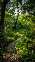 Fototapeta na wymiar Inviting Trails and Lush Greenery: An Idyllic Texas Nature Park