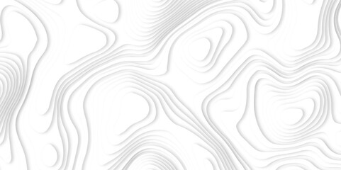Abstract white paper cut background with line. 3d topography relief. Vector topographic illustration. realistic papercut decoration textured with wavy layer and shadow. seamless pattern wave design.	