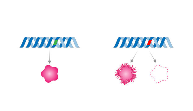 Genetic mutation. Normal and mutated genes. Gene mutation that produce abnormal protein or no protein. scientific design. Vector illustration.	