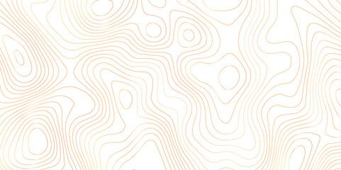 Fototapeta premium Topographic map and landscape terrain texture grid. Abstract lines background. Contour maps. Vector illustration. golden and white topographic contours lines of mountains.