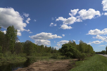 Obraz premium clouds over the forest