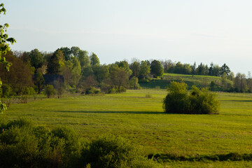 łąka o zachodzie słońca © Paulina
