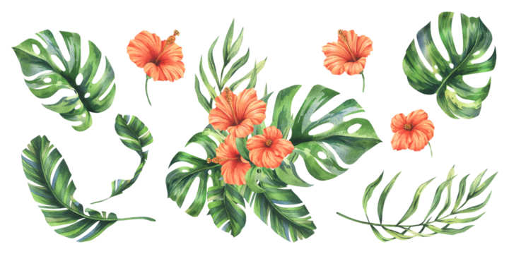 Tropical palm leaves, monstera and flowers of red hibiscus, bright juicy. Hand drawn watercolor botanical illustration. Set of elements isolated from background.