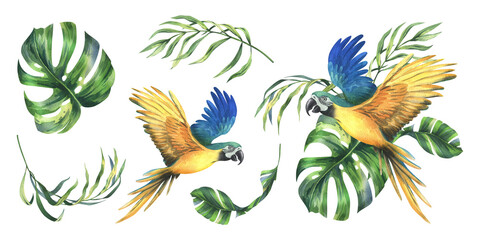 Tropical palm leaves, monstera and flowers of plumeria, hibiscus, bright juicy with blue-yellow macaw parrot. Hand drawn watercolor botanical illustration. Set of elements isolated from background