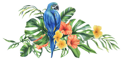 Tropical palm leaves, monstera and flowers of plumeria, hibiscus, bright juicy with blue-yellow macaw parrot. Hand drawn watercolor botanical illustration. Composition isolated from the background © NATASHA-CHU