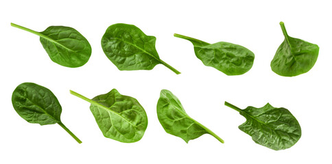 Spinach green leaves. Set of green spinach leaves. Isolated on white background. Design element for...