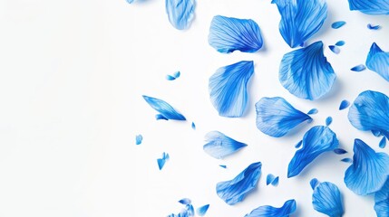Blue petals scattered on a white background. Flat lay composition with place for text.